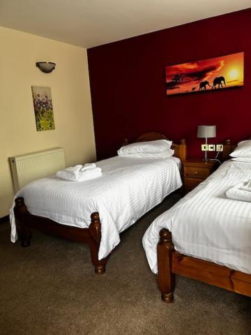 The Fountain Inn Tenbury Wells Екстериор снимка